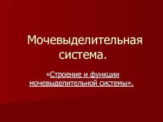 Презентация по биология Выделительная система человека