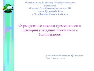 Формирование лексико-грамматических категорий у младших школьников с билингвизмом