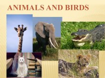 Презентация к уроку английского языка на тему Animals and birds