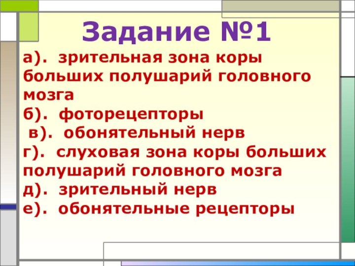 Задание №1а). зрительная зона коры больших полушарий головного мозгаб). фоторецепторы в). обонятельный