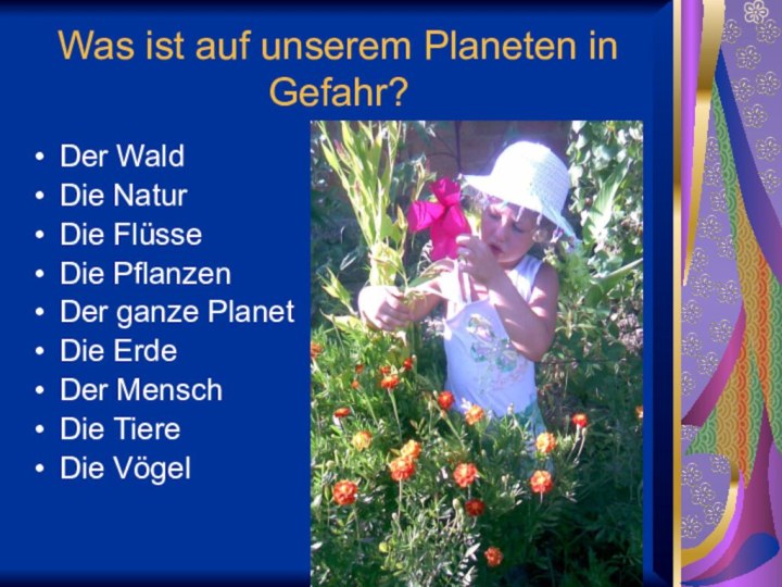 Was ist auf unserem Planeten in Gefahr?Der WaldDie NaturDie FlüsseDie PflanzenDer ganze