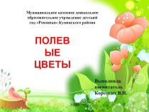 Презентация  Полевые цветы