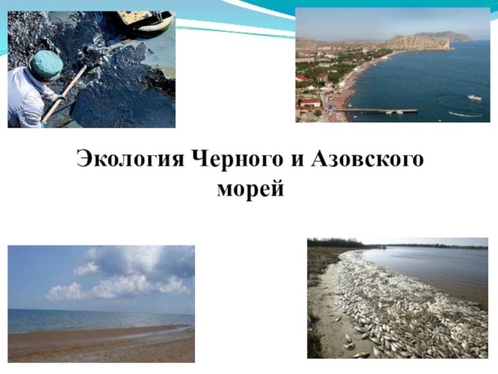 Экология Черного и Азовского морей