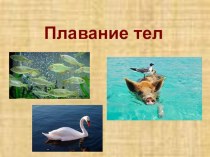 Интерактивный тест по физике в 7 классе Плавание тел