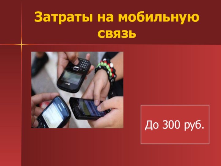Затраты на мобильную связьДо 300 руб.