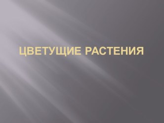 Презентация по биологии Цветущие растения