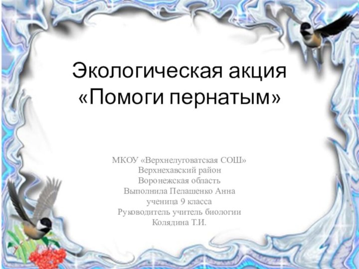 Экологическая акция  «Помоги пернатым» МКОУ «Верхнелуговатская СОШ»Верхнехавский районВоронежская областьВыполнила Пелашенко Аннаученица