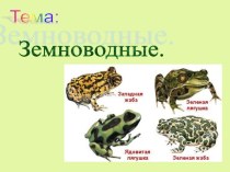 Презентация класс земноводные 7