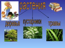 Презентация по окружающему миру на тему Красная Книга растений (2 класс)