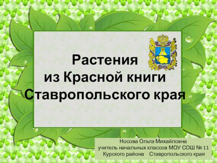 Растения  из Красной книги  Ставропольского краяНосова Ольга Михайловнаучитель начальных классов