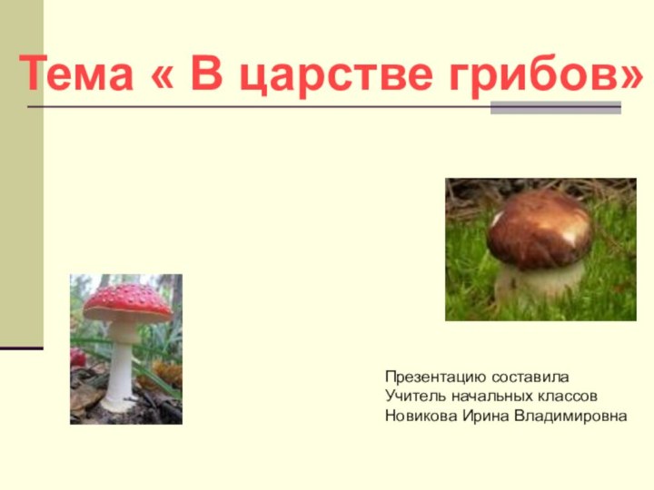 Тема « В царстве грибов»Презентацию составилаУчитель начальных классовНовикова Ирина Владимировна