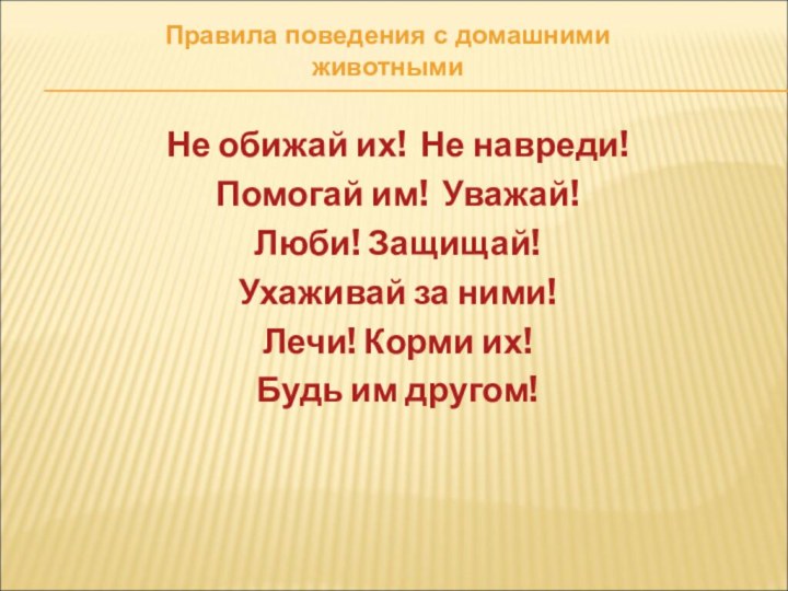 Не обижай их! Не навреди!Помогай им! Уважай!Люби! Защищай!Ухаживай за ними!Лечи! Корми их!Будь