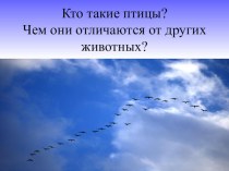 Тест на тему Кто такие птицы 1 класс