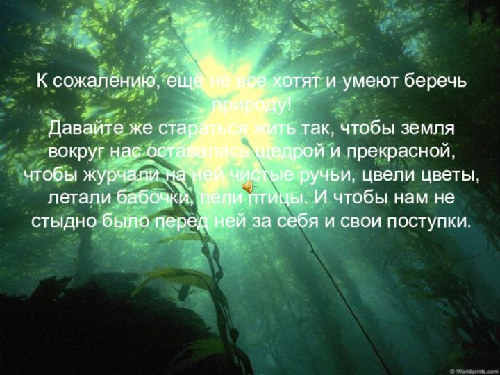 К сожалению, ещё не все хотят и умеют беречь природу! Давайте же