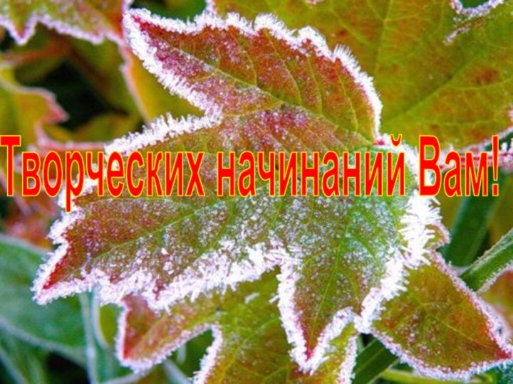 Творческих начинаний Вам!