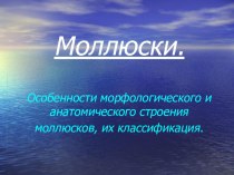 Презентация по биологии на тему Моллюски3 класс