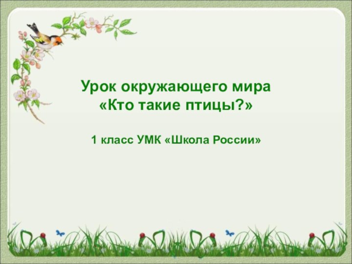 Урок окружающего мира «Кто такие птицы?»  1 класс УМК «Школа России»