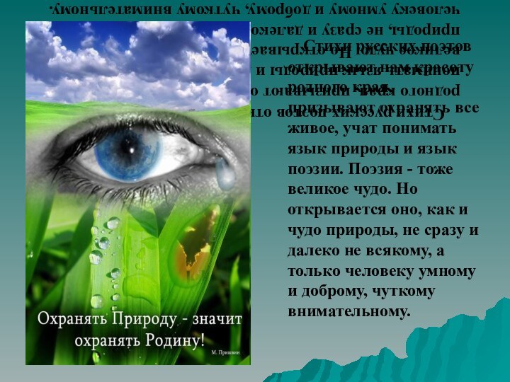 Стихи русских поэтов открывают нам красоту родного края, призывают