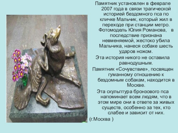 Памятник установлен в феврале 2007 года в связи трагической историей бездомного пса