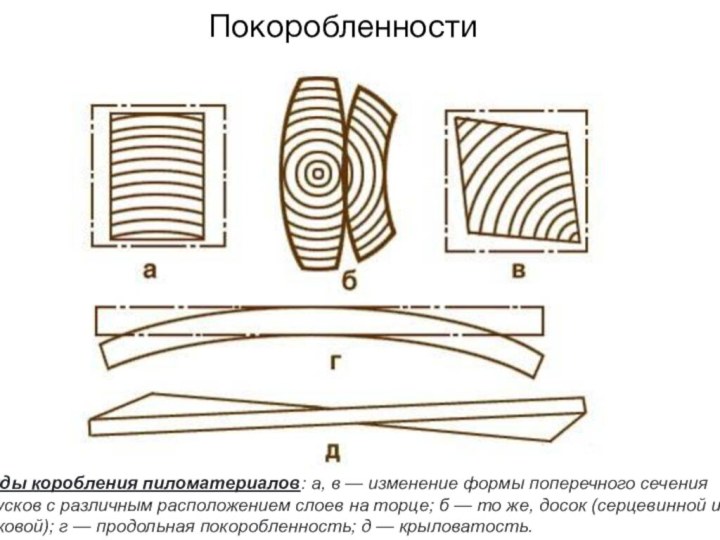 ПокоробленностиВиды коробления пиломатериалов: а, в — изменение формы поперечного сечения брусков с