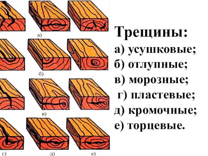 Нарисовать пороки древесины