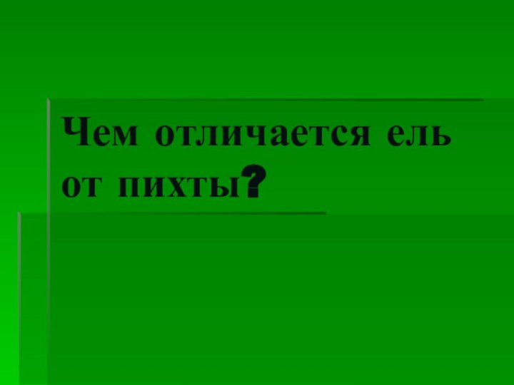 Чем отличается ель от пихты?