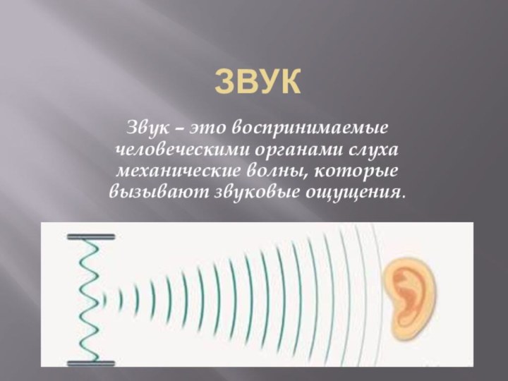 звукЗвук – это воспринимаемые человеческими органами слуха механические волны, которые вызывают звуковые ощущения.
