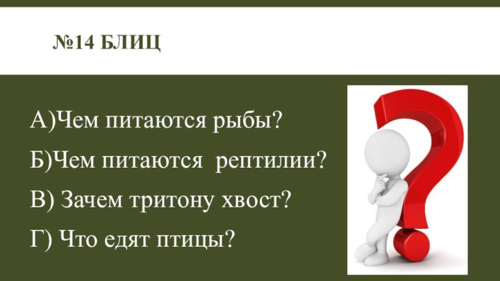 А)Чем питаются рыбы?Б)Чем питаются рептилии?В) Зачем тритону хвост?Г) Что едят птицы?№14 Блиц