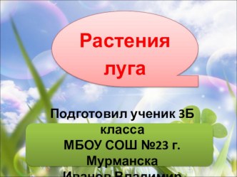 Презентация по окружающему миру учащегося 3 класса Растения луга