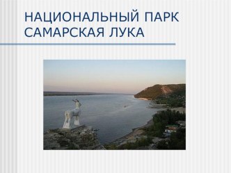 Презентация. Внеклассное мероприятие Национальный паркСамарская Лука