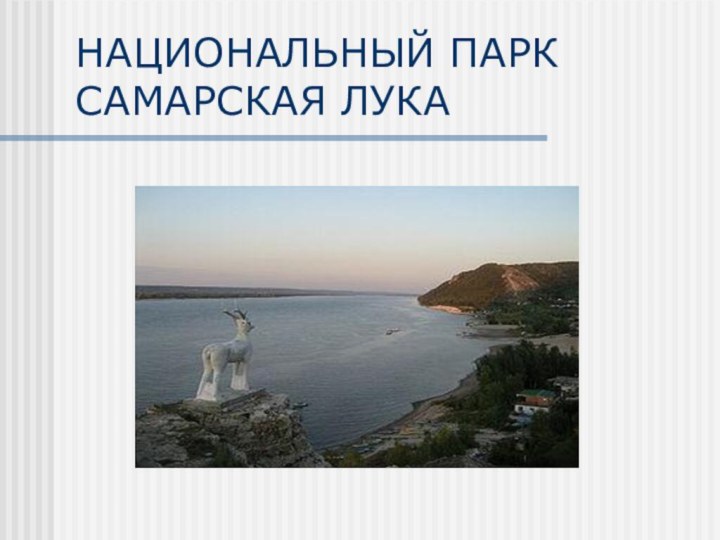 НАЦИОНАЛЬНЫЙ ПАРК САМАРСКАЯ ЛУКА