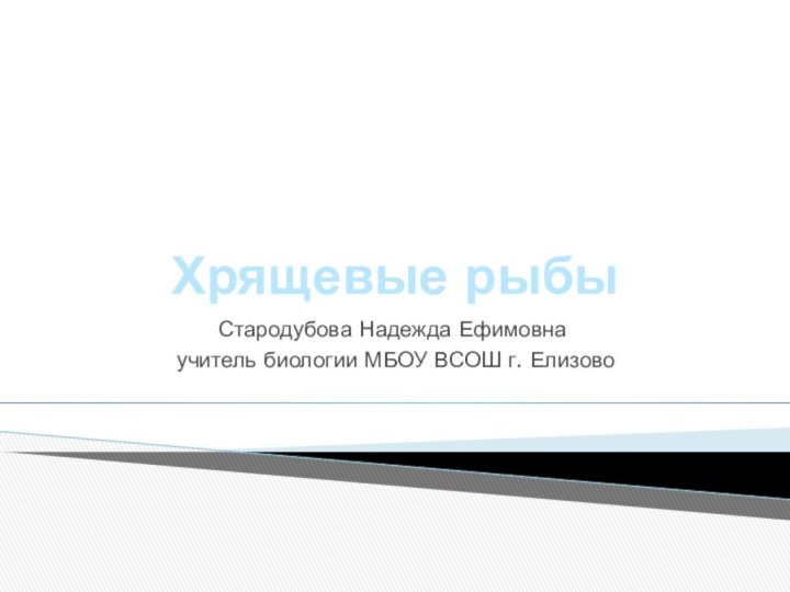 Хрящевые рыбыСтародубова Надежда Ефимовна учитель биологии МБОУ ВСОШ г. Елизово