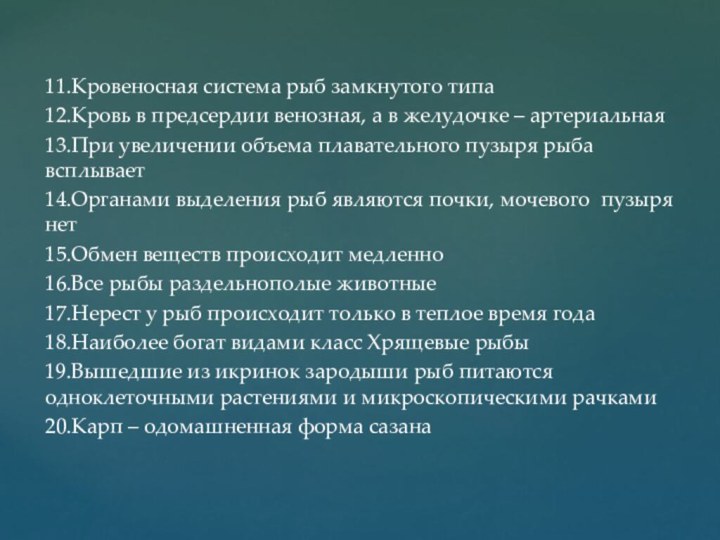 11.Кровеносная система рыб замкнутого типа12.Кровь в предсердии венозная, а в желудочке –