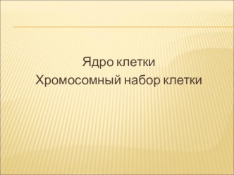 Презентация по биологии на тему Ядро клетки (10 класс)