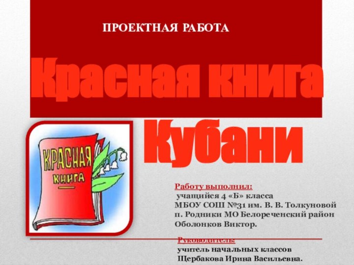 Работу выполнил: учащийся 4 «Б» класса МБОУ СОШ №31 им. В. В.