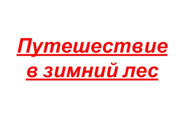 Путешествие в зимний лес