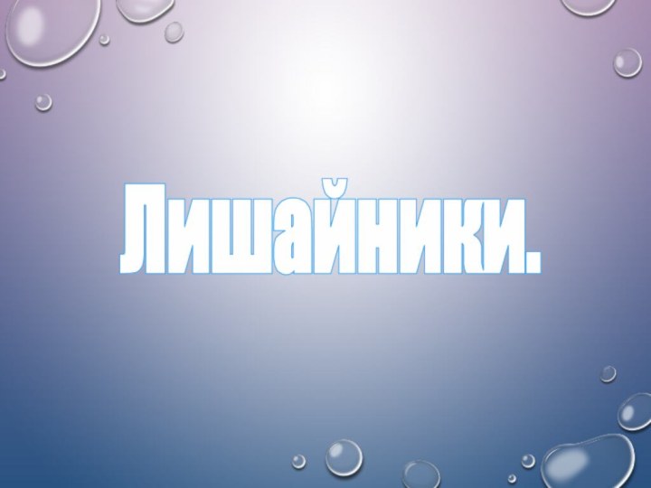 Лишайники.