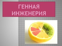 Творческая работа по биологии ученицы 9 класса Боровых Анастасии по теме Селекция микроорганизмов.Генная инженерия