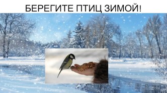 Презентация Зимние гости (6 класс)