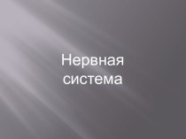 Презентация по биологии на тему Рыбы 11 класс