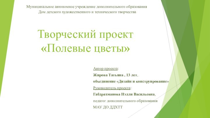 Творческий проект «Полевые цветы» Автор проекта:Жирова Татьяна , 13 лет,объединение «Дизайн и