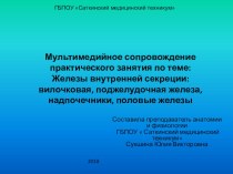 Мультимедийное сопровождение практического занятия по теме Гипофиз, эпифиз, щитовидная и околощитовидная железа