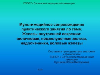 Мультимедийное сопровождение практического занятия по теме Гипофиз, эпифиз, щитовидная и околощитовидная железа