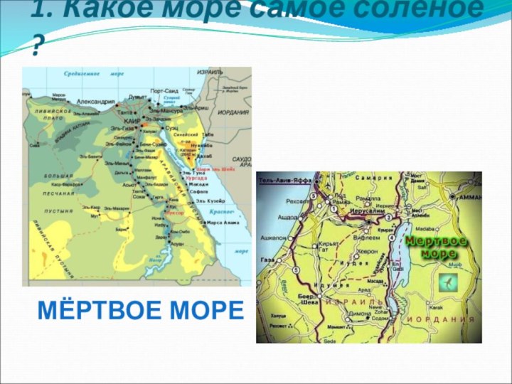 1. Какое море самое солёное ?МЁРТВОЕ МОРЕ