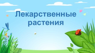 Презентация по внеурочной деятельности Лекарственные растения