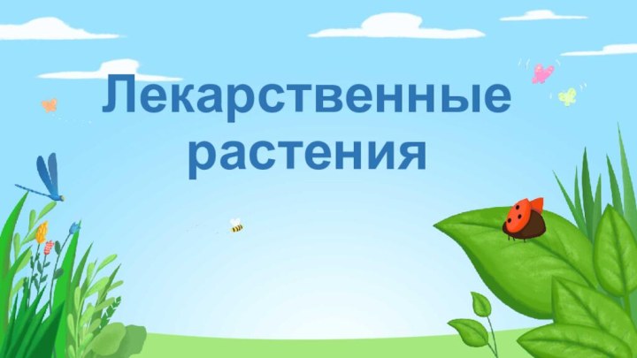 Лекарственные растения