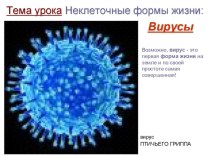 Неклеточные формы жизни - вирусы