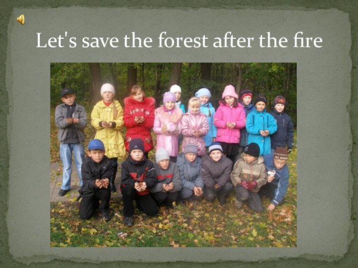 Let's save the forest after the fire