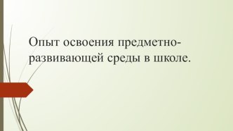 Опыт освоения предметно-развивающей среды в школе.