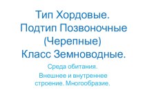 Презентация к уроку Класс Земноводные